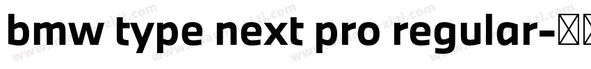 bmw type next pro regular字体转换